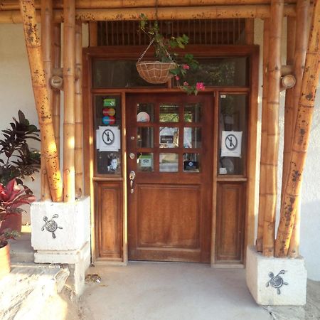 La Tortuga Hostel Taganga Dış mekan fotoğraf