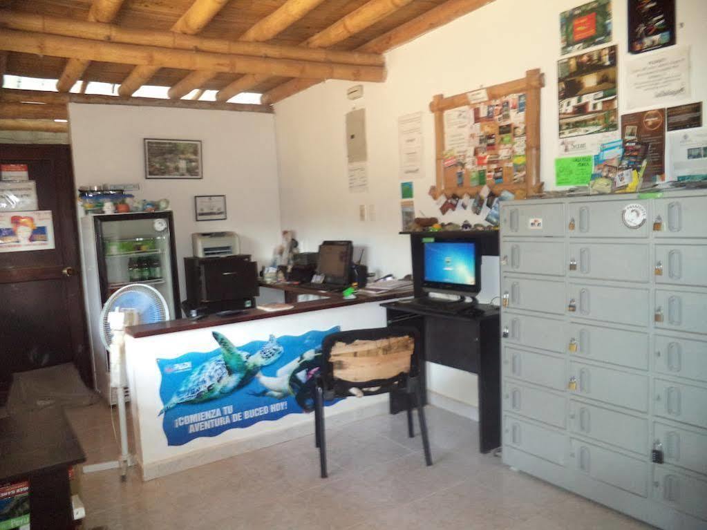 La Tortuga Hostel Taganga Dış mekan fotoğraf